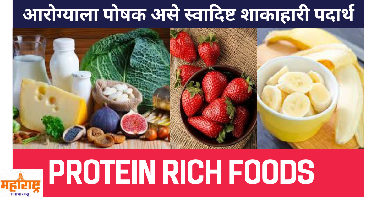 protein rich foods