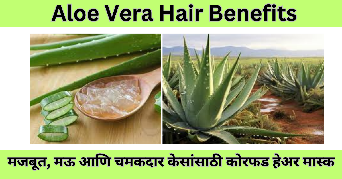 Aloe vera hair benefits