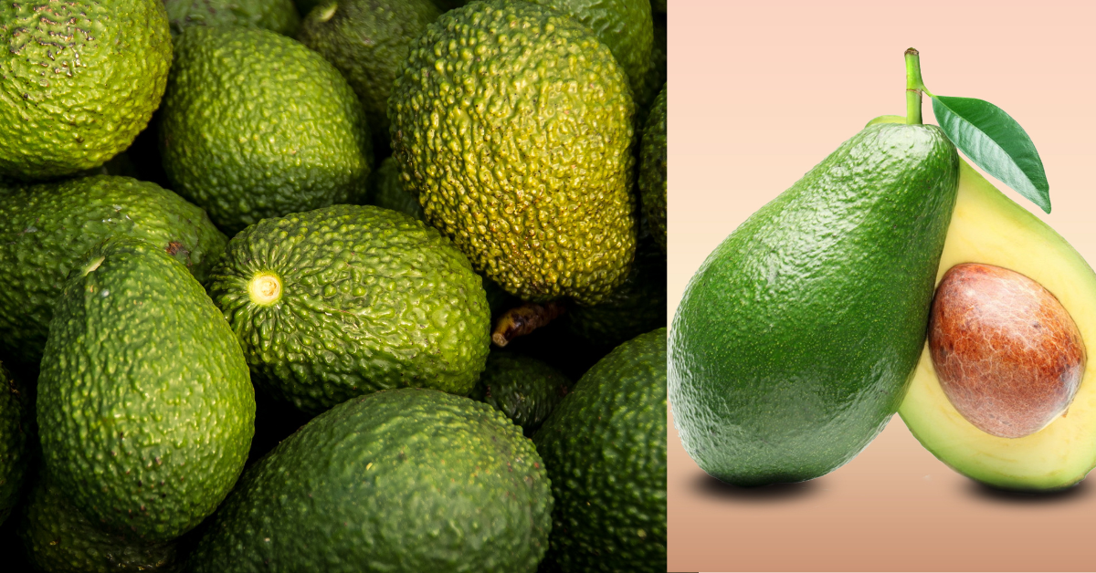 Avocado health benefits