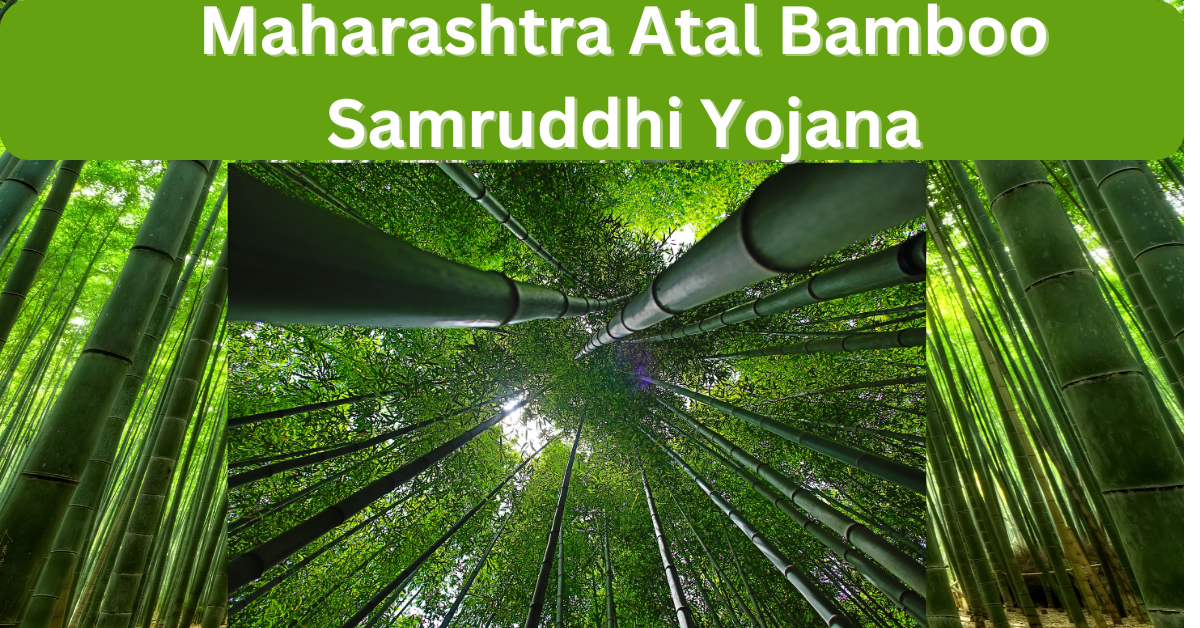 Maharashtra Atal Bamboo Samruddhi Yojana