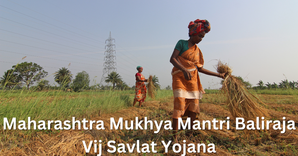 Maharashtra Mukhya Mantri Baliraja Vij Savlat Yojana