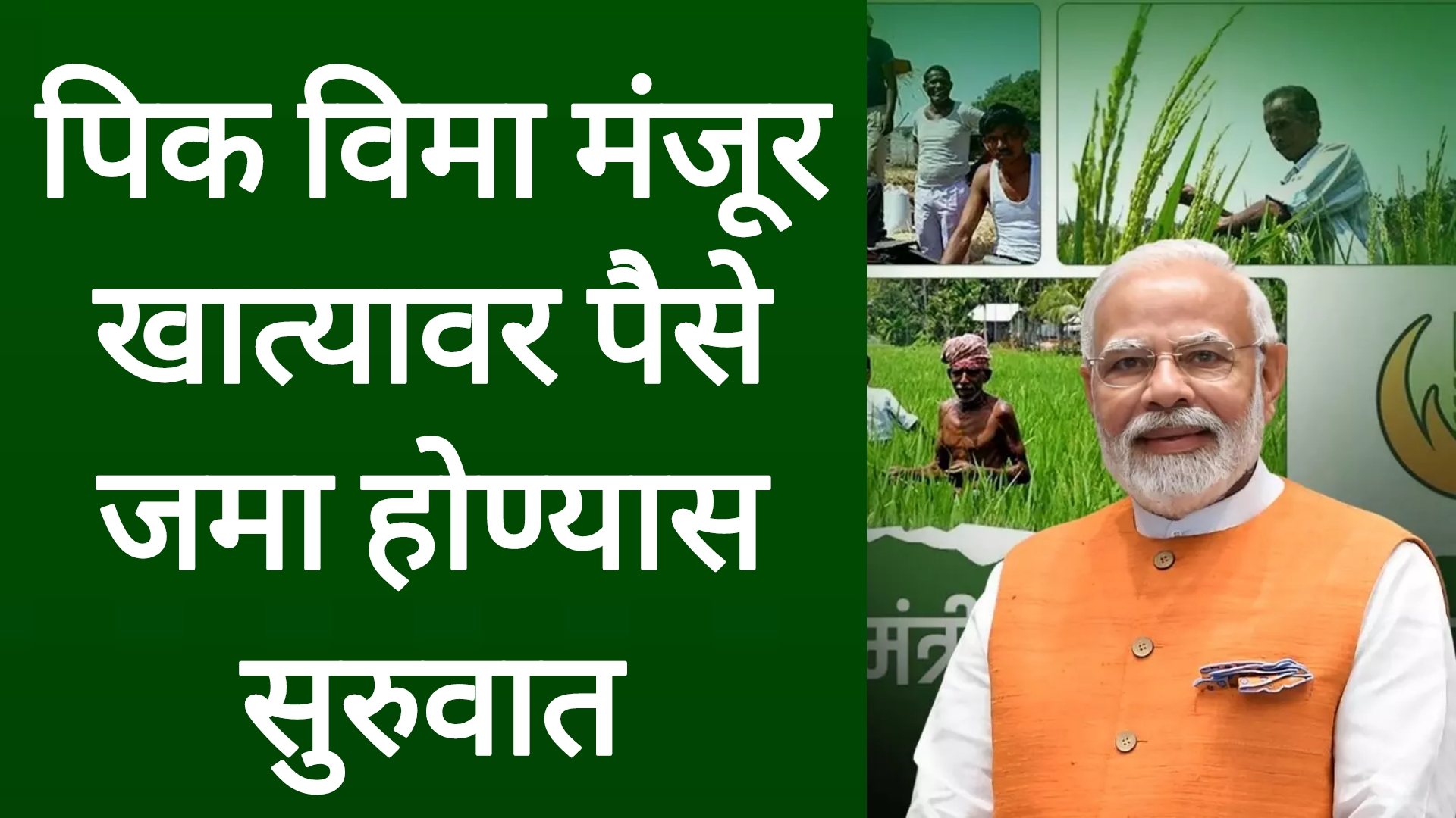 Farmers’ crop insurance 2025 पिक विमा मंजूर शेतकऱ्यांना या दिवशी नुकसान भरपाई मिळणार