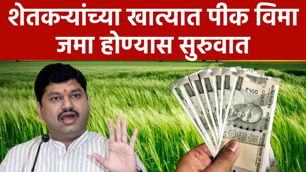 Crop insurance update पिक विमा या शेतकऱ्यांच्या खात्यात जमा लगेच हे काम करा