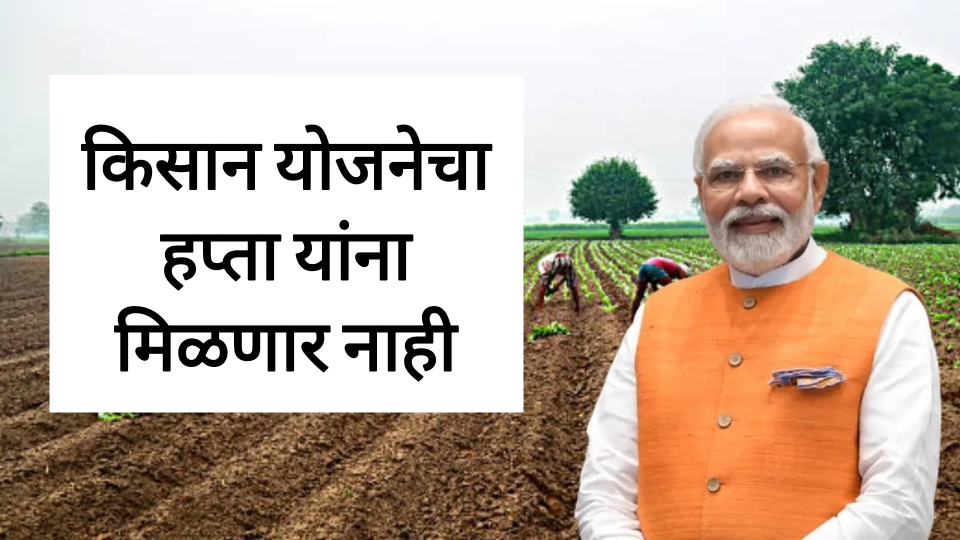 PM kisan yojana hafta या नागरिकांना प्रधानमंत्री किसान योजनेचा हप्ता मिळणार नाही.