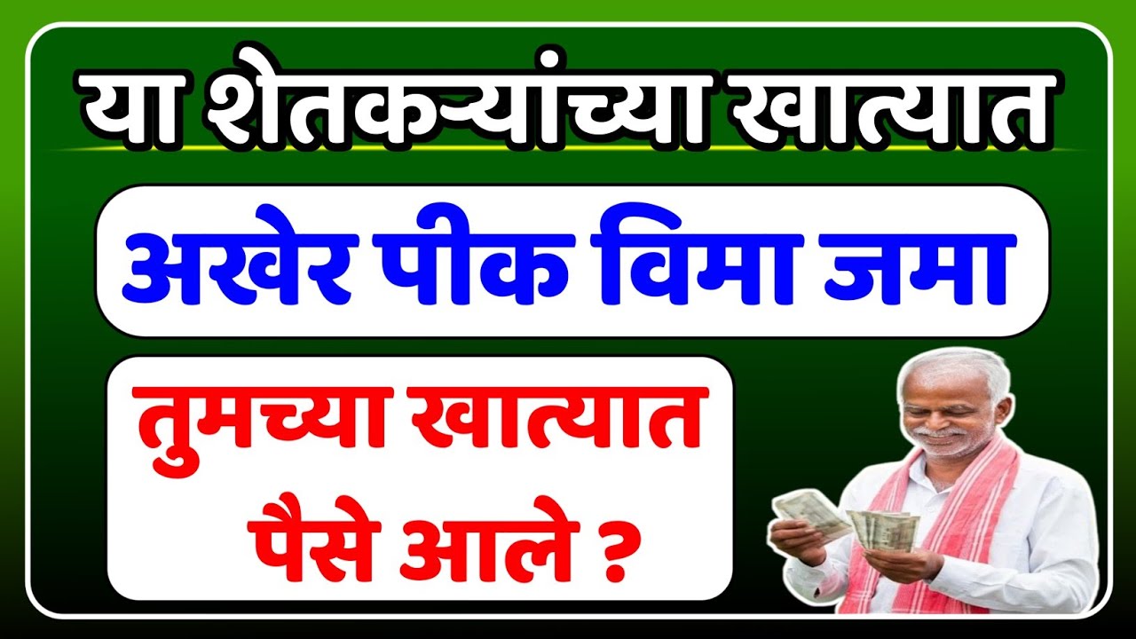 Crop Insurances farmers राज्यातील या जिल्ह्यात उद्यापासून पिकविमा वाटप सुरू