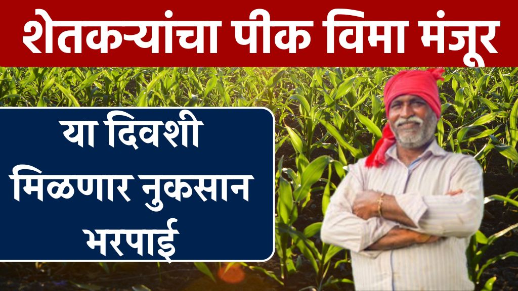 Crop insurance update 2308कोटी पिक विमा मंजूर या तारखेला शेतकऱ्यांच्या खात्यात जमा होणार.