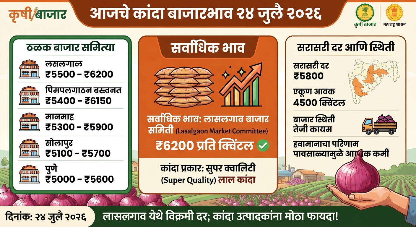 onion price today make a image